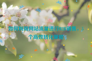 如何利用网站流量进行B2B销售，5个高效转化策略