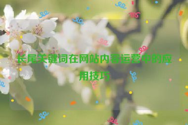 长尾关键词在网站内容运营中的应用技巧