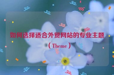 如何选择适合外贸网站的专业主题（Theme）