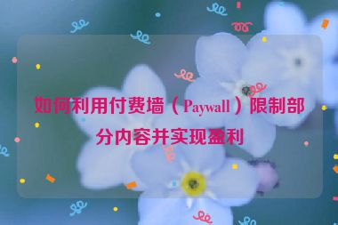 如何利用付费墙（Paywall）限制部分内容并实现盈利
