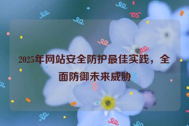2025年网站安全防护最佳实践，全面防御未来威胁