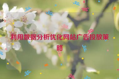 利用数据分析优化网站广告投放策略