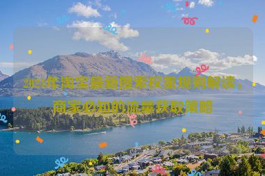 2024年淘宝最新搜索权重规则解读，商家必知的流量获取策略