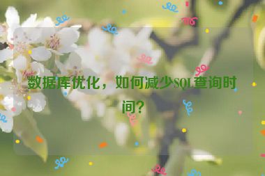 数据库优化，如何减少SQL查询时间？