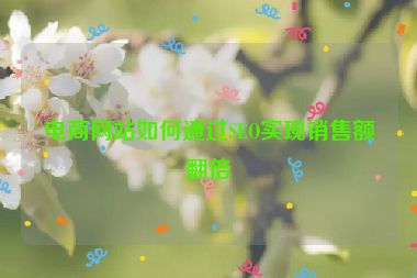 电商网站如何通过SEO实现销售额翻倍