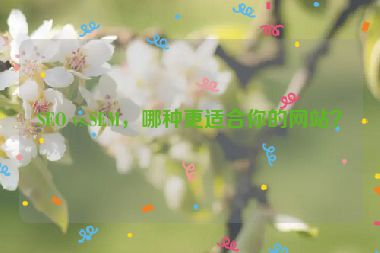 SEO vs.SEM，哪种更适合你的网站？