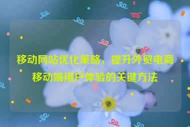 移动网站优化策略，提升外贸电商移动端用户体验的关键方法
