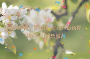 案例解析，如何用5000元广告预算撬动10万销售额？
