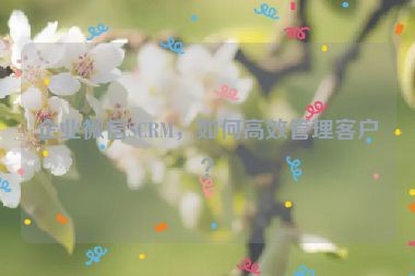 企业微信SCRM，如何高效管理客户？