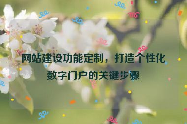 网站建设功能定制，打造个性化数字门户的关键步骤