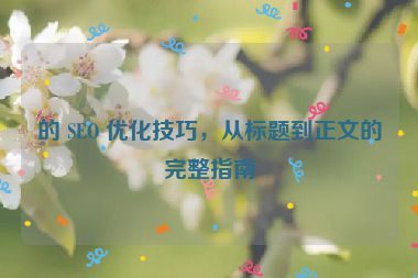 的 SEO 优化技巧，从标题到正文的完整指南