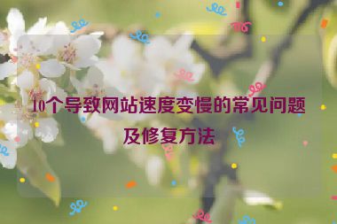 10个导致网站速度变慢的常见问题及修复方法