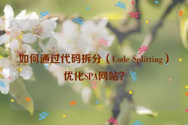 如何通过代码拆分（Code Splitting）优化SPA网站？