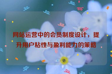网站运营中的会员制度设计，提升用户粘性与盈利能力的策略