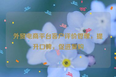 外贸电商平台客户评价管理，提升口碑，促进复购
