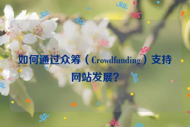 如何通过众筹（Crowdfunding）支持网站发展？