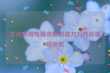 非洲跨境电商市场的潜力与开拓策略研究
