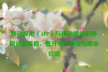 移动应用（APP）与移动网站的协同运营策略，提升用户体验与商业价值
