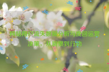 网站用户流失数据分析与挽回运营决策，从洞察到行动