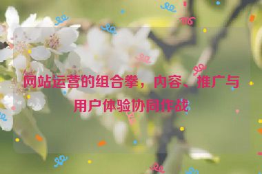 网站运营的组合拳，内容、推广与用户体验协同作战