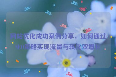 网站优化成功案例分享，如何通过SEO策略实现流量与转化双增长