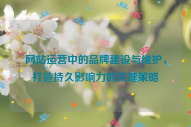 网站运营中的品牌建设与维护，打造持久影响力的关键策略