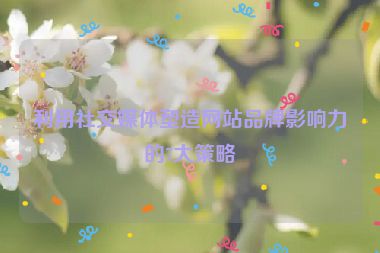 利用社交媒体塑造网站品牌影响力的7大策略