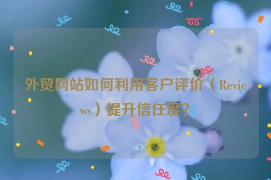 外贸网站如何利用客户评价（Reviews）提升信任度？