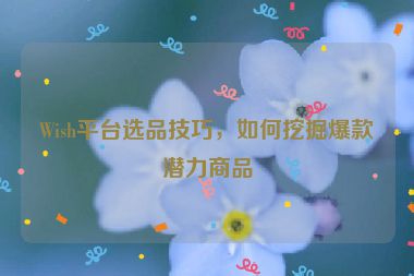 Wish平台选品技巧，如何挖掘爆款潜力商品