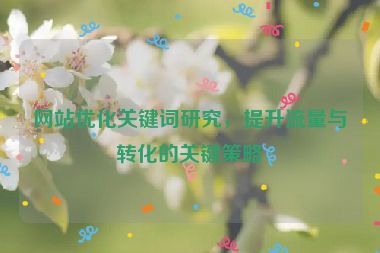 网站优化关键词研究，提升流量与转化的关键策略