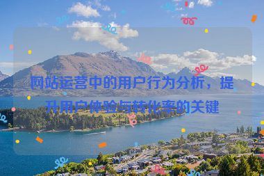 网站运营中的用户行为分析，提升用户体验与转化率的关键