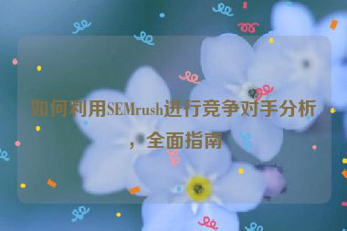 如何利用SEMrush进行竞争对手分析，全面指南