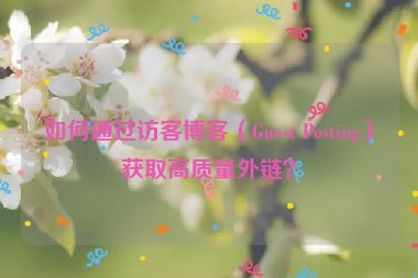 如何通过访客博客（Guest Posting）获取高质量外链？
