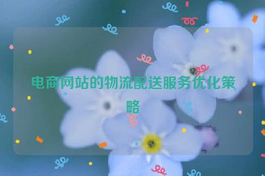 电商网站的物流配送服务优化策略