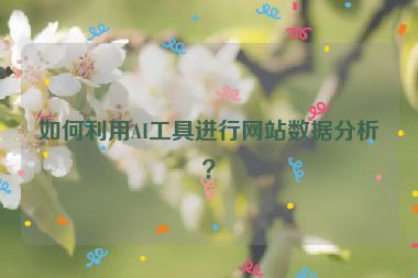 如何利用AI工具进行网站数据分析？