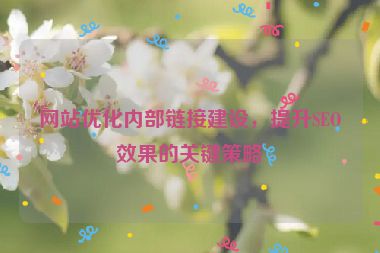 网站优化内部链接建设，提升SEO效果的关键策略