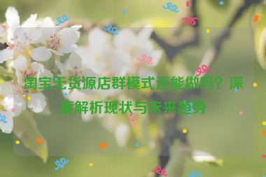 淘宝无货源店群模式还能做吗？深度解析现状与未来趋势