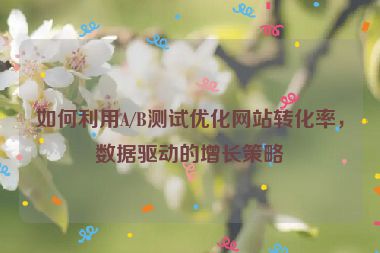 如何利用A/B测试优化网站转化率，数据驱动的增长策略