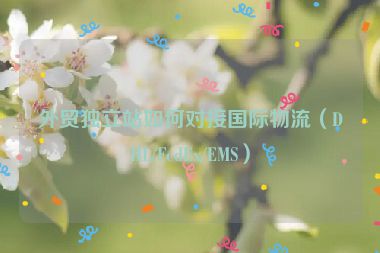 外贸独立站如何对接国际物流（DHL/FedEx/EMS）