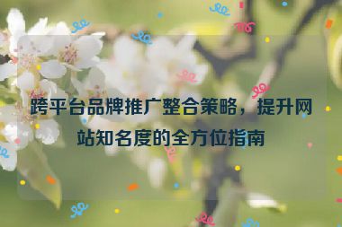 跨平台品牌推广整合策略，提升网站知名度的全方位指南