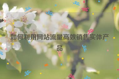 如何利用网站流量高效销售实体产品