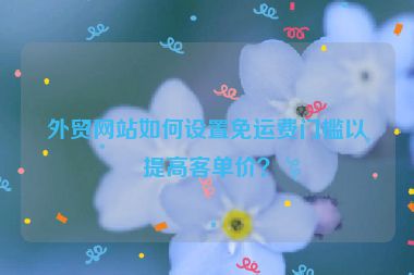 外贸网站如何设置免运费门槛以提高客单价？