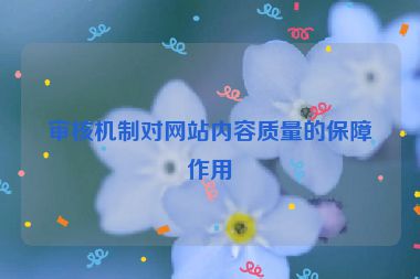审核机制对网站内容质量的保障作用