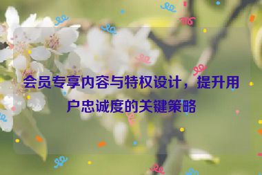 会员专享内容与特权设计，提升用户忠诚度的关键策略