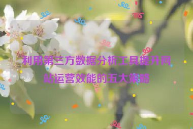 利用第三方数据分析工具提升网站运营效能的五大策略