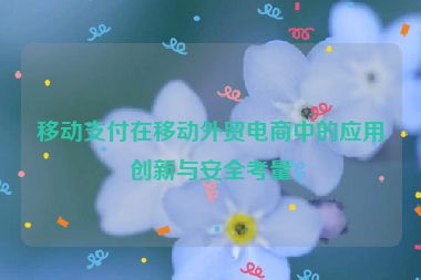 移动支付在移动外贸电商中的应用创新与安全考量