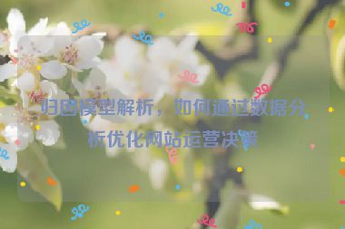 归因模型解析，如何通过数据分析优化网站运营决策