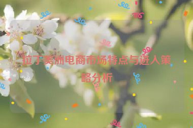 拉丁美洲电商市场特点与进入策略分析