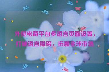 外贸电商平台多语言页面设置，打破语言障碍，拓展全球市场