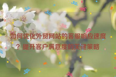 如何优化外贸网站的客服响应速度？提升客户满意度的关键策略
